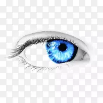 眼睛图标-眼睛透明PNG图像