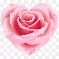 法国玫瑰石英紫水晶-大粉红玫瑰心尖