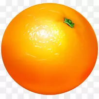 橙色素食剪贴画-橙色透明PNG剪贴画