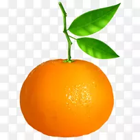 克莱门汀·橘子橙色探戈剪贴画.橘子透明PNG剪贴画图像