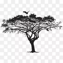 鸟语树剪影鸟群-异国情调树和鸟剪影PNG剪贴画形象