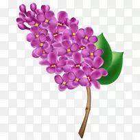 紫丁香插花艺术-紫丁香透明PNG剪贴画图像