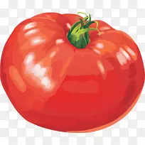 蔬菜鸡咖喱蓝番茄剪贴画-番茄PNG