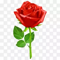 玫瑰红剪贴画-水晶红玫瑰透明PNG剪贴画图像