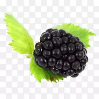 黑莓剪贴画-黑莓PNG