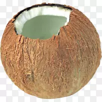 椰子PNG图像
