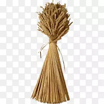 小麦捆剪艺术-小麦PNG