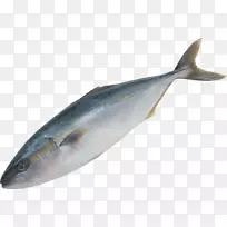 鱼类剪贴画-鱼PNG