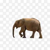 大象轮廓可伸缩图形.大象PNG