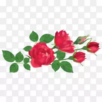 玫瑰花红花剪贴画-透明红玫瑰PNG剪贴画