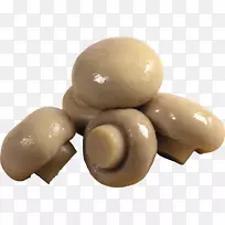 蘑菇-蘑菇PNG图像
