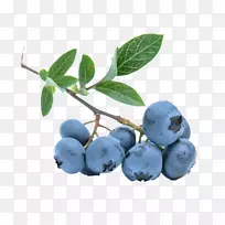欧洲蓝莓冰淇淋-蓝莓PNG