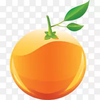 橙色剪贴画-橙色PNG图像，免费下载