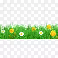 花卉剪贴画-草和花透明的PNG剪贴画图像