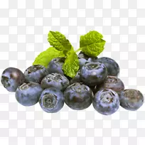 蓝莓果-蓝莓PNG
