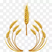 小麦版税-免耳剪贴画-小麦PNG