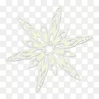 对称白花图案-雪花PNG图像