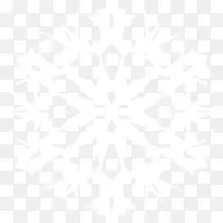 对称线点角图案-雪花PNG图像