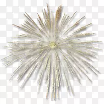 烟花爆竹艺术.透明金烟花效果