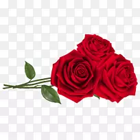 玫瑰红色天线花束-三朵红玫瑰