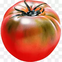 标记笔纸水果Copic-番茄png图像