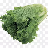 蔬菜色拉蝴蝶生菜食品-色拉PNG图像