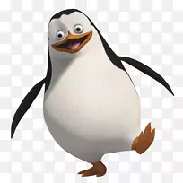 企鹅剪贴画-企鹅PNG图像