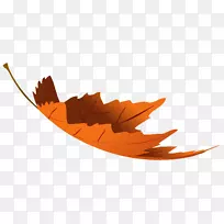 秋叶彩色剪贴画-秋天落叶透明PNG剪贴画图像