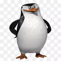 马达加斯加企鹅：博士。再来一次！船长电影-马达加斯加企鹅PNG