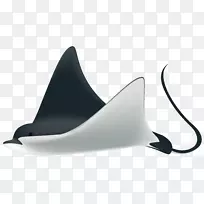 鱼夹艺术-射线鱼Png透明剪贴画图像