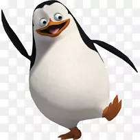 船长马达加斯加亚历克斯电影动画-马达加斯加企鹅PNG