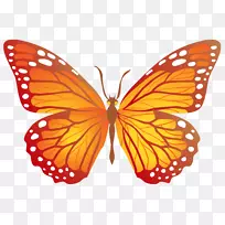 蝴蝶剪贴画-带有黄色PNG图像的蝴蝶