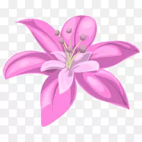 百合粉红插花艺术-粉红花PNG图像