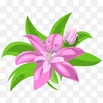 粉红花剪贴画-两朵粉红色花PNG图像