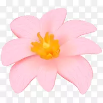 花瓣粉红色玫瑰科草本植物-异国情调粉色插花艺术PNG图像