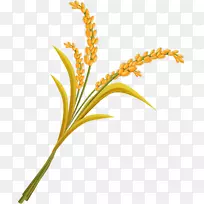 水稻剪贴画-小麦PNG