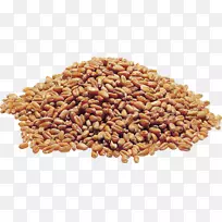 谷物胚芽草全粒混合物-小麦PNG