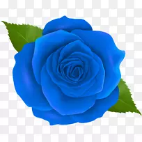 蓝玫瑰百叶玫瑰剪贴画-蓝色玫瑰透明PNG剪贴画