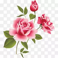 玫瑰粉色剪贴画-粉红色玫瑰艺术剪贴画
