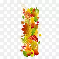 秋季花卉设计剪贴画-秋季装饰PNG剪贴画透明图片