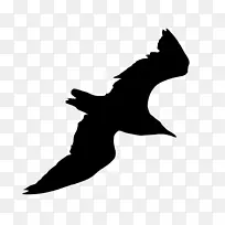 象牙海鸥可伸缩图形轮廓-海鸥png