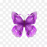 蝴蝶画紫色剪贴画-蝴蝶PNG图像