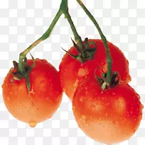李子番茄光景-番茄PNG图像