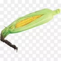 玉米壳玉米对玉米芯食品.玉米PNG图像