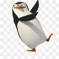 企鹅马达加斯加剪贴画-企鹅图片