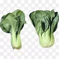 大白菜蔬菜越南菜-色拉PNG形象