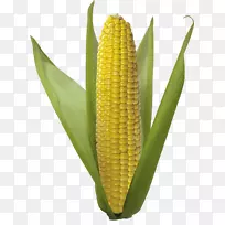 玉米芯上的爆米花甜玉米火石玉米芯-玉米PNG图像