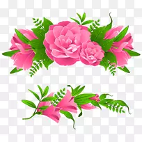 花园玫瑰、蜈蚣玫瑰、粉色花朵