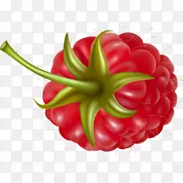 草莓覆盆子水果剪贴画-rraspberry png图像