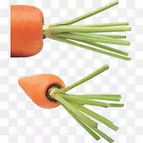 胡萝卜蔬菜剪贴画-胡萝卜PNG图像